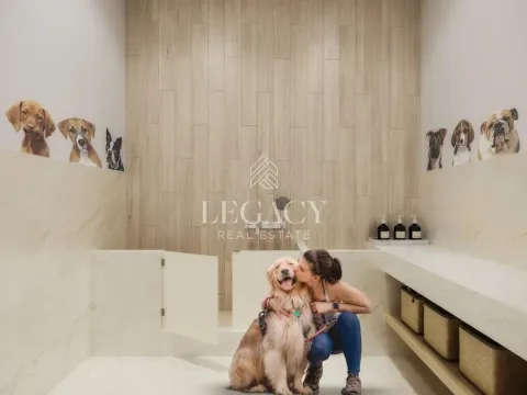 Prodaja, stan, 33m², Savski Venac, Beograd - image 6