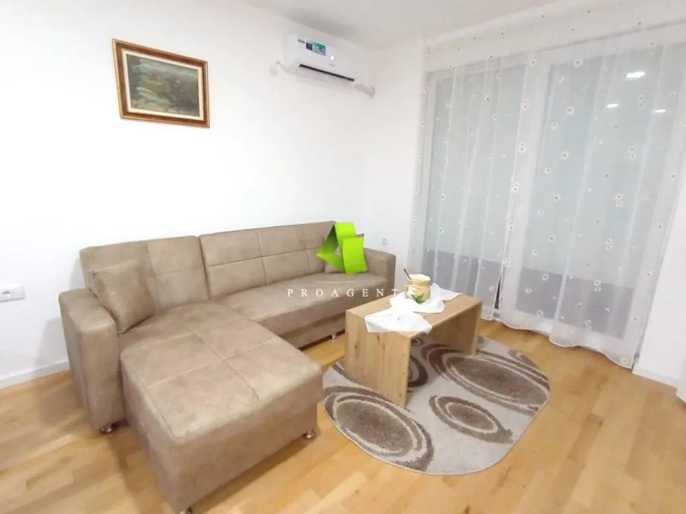 Rent, one bedroom apartment, 47m², Ledena Stena, Niš