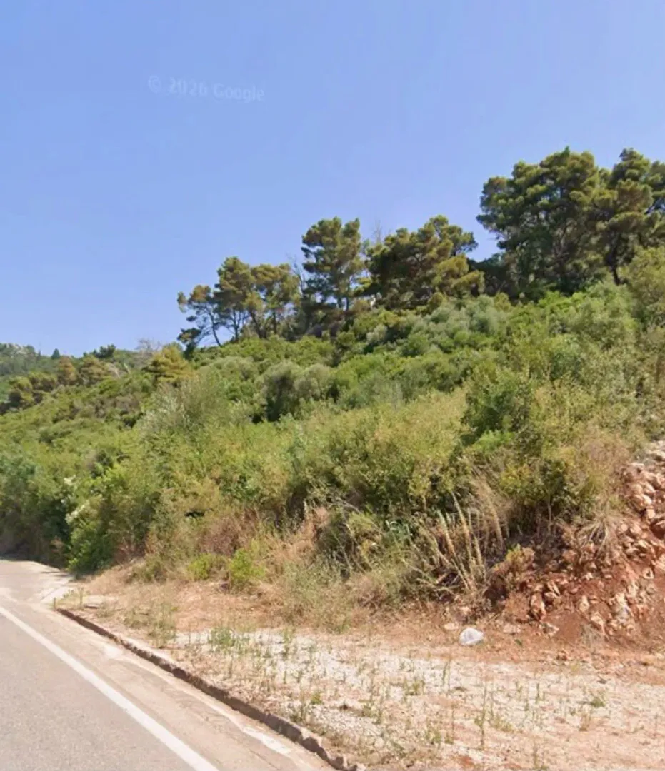 Pogled na plac sa zelenilom pored puta.