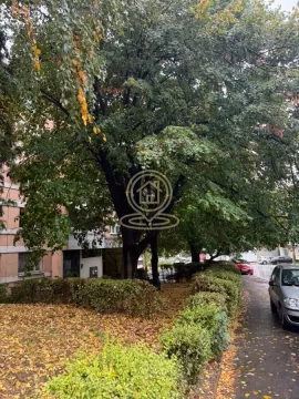 Zelenilo i drveće ispred zgrade. - image 20