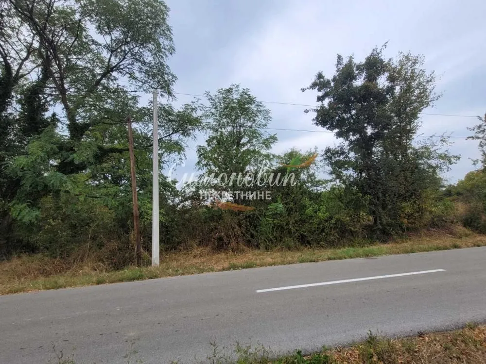 Pogled na plac i šumovito okruženje pored puta.