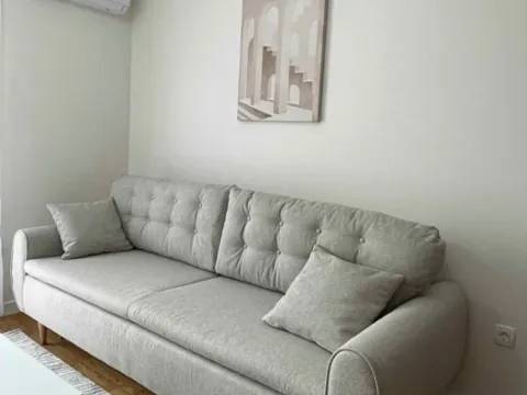 Izdavanje, jednosoban stan, 47m², Zabjelo, Podgorica - image 4