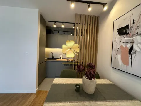 Rent, one bedroom apartment, 43m², Pobrežje, Podgorica - image 4