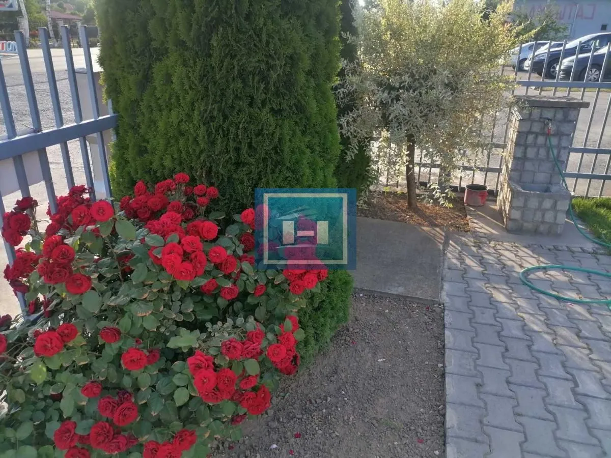 Rent, office space, 268m², Sarina Medja, Jagodina