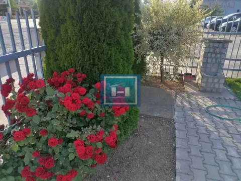 Rent, office space, 268m², Sarina Medja, Jagodina - image 15