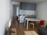 Izdavanje, jednosoban stan, 50m², Petrovaradin, Novi Sad - image 1