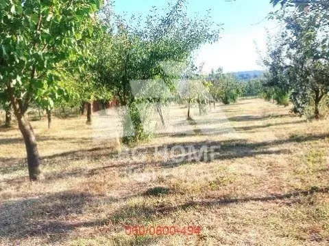 Prodaja, plac, 1587m², Voždovac Sve Podlokacije, Beograd - image 7