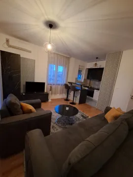 Bright open-plan living room with dark furniture and a kitchen area in the background. - image 9