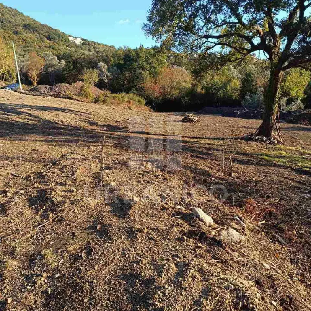 Prodaja, plac, 4800m², Bjeliši, Bar