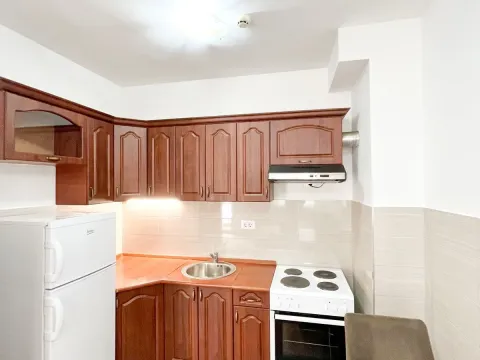 Izdavanje, jednosoban stan, 47m², City Kvart, Podgorica - image 4