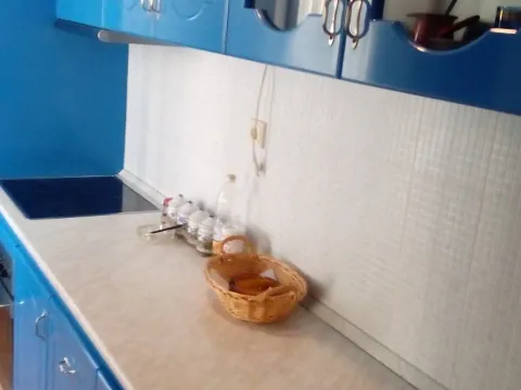 Izdavanje, jednosoban stan, 50m², Mainski Put, Budva - image 4