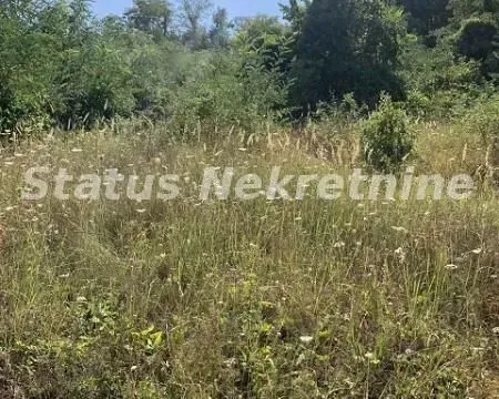 Sale, land lot, 1600m², Sremska Kamenica, Petrovaradin