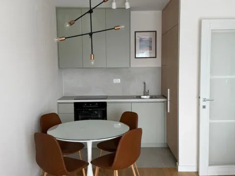 Izdavanje, jednosoban stan, 46m², Pobrežje, Podgorica - image 3