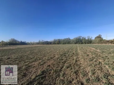 Pogled na prostrano zemljište i zelenilo. - image 3