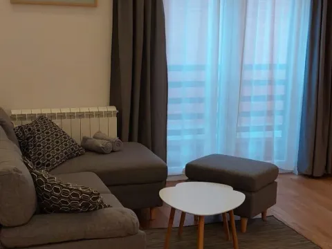 Izdavanje, dvosoban stan, 40m², Južni Bulevar, Vračar Sve Podlokacije - image 2