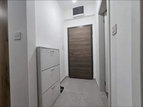 Izdavanje, jednosoban stan, 44m², Zabjelo, Podgorica - image 4