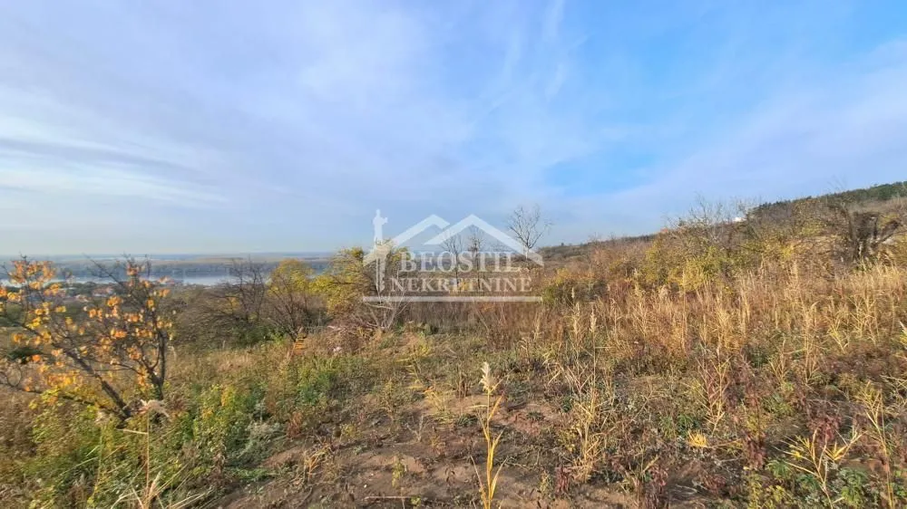 Prodaja, plac, 3000m², Višnjica, Palilula Sve Podlokacije