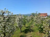 Sale, house, 80m², Ozrinići, Nikšić - image 4