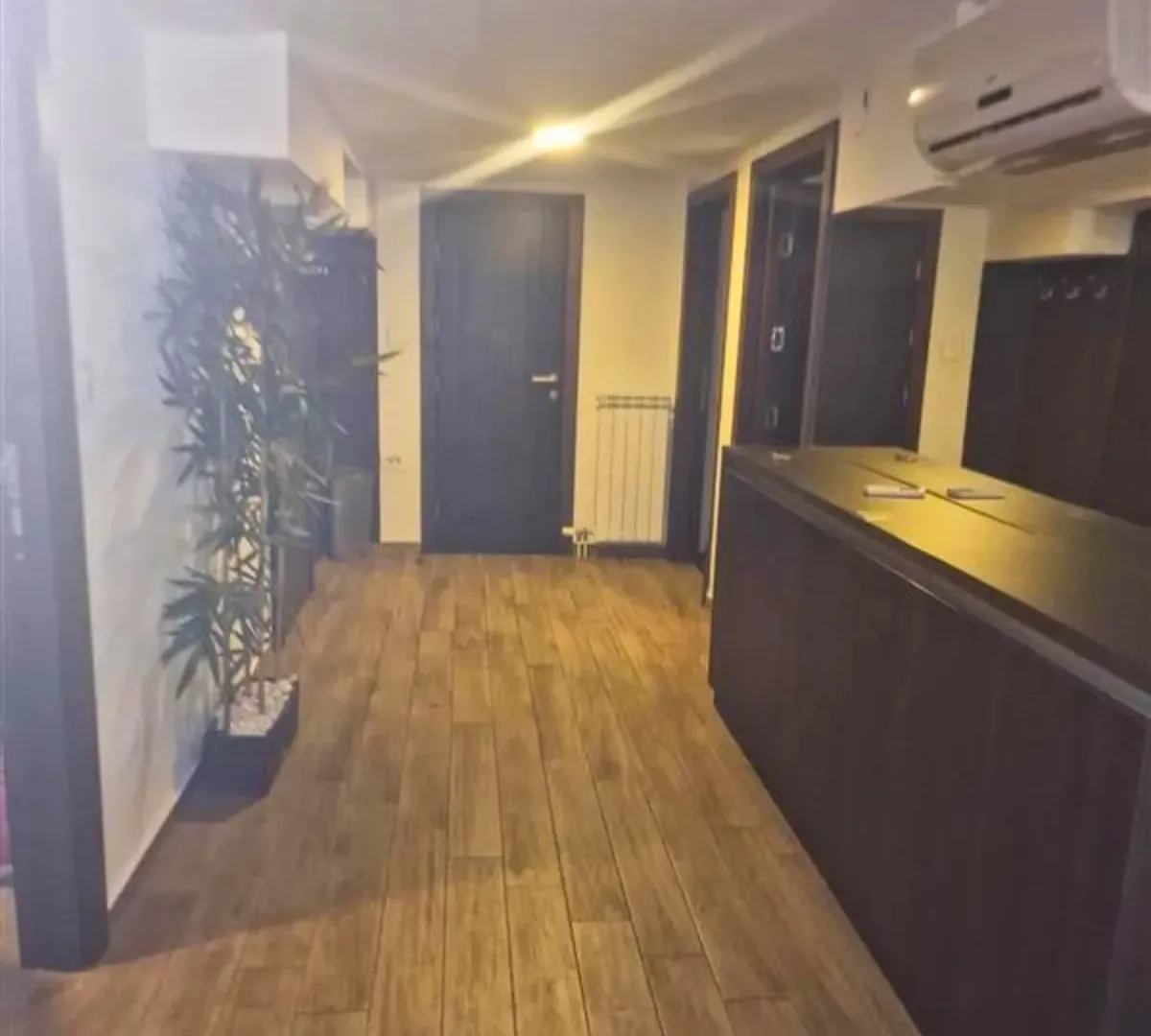 Rent, three bedroom apartment, 123m², Vračar Sve Podlokacije, Beograd