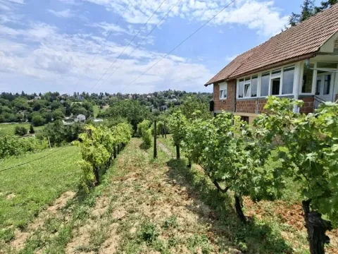 Prodaja, plac, 3000m², Bocke, Petrovaradin - image 5