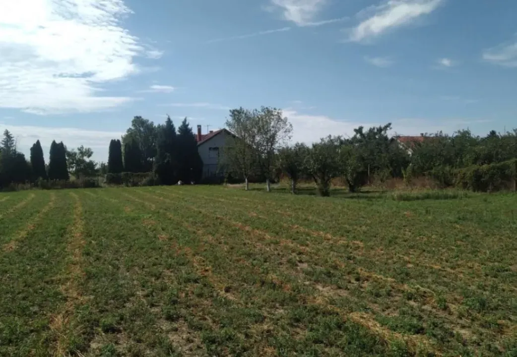 Sale, land lot, 948m², Maradik, Inđija