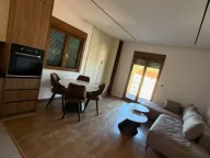 Rent, one bedroom apartment, 47m², Zagorič, Podgorica - image 1