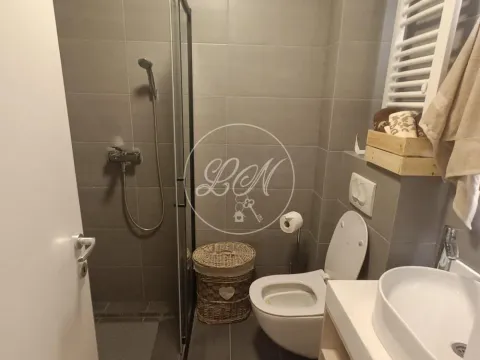 Izdavanje, dvosoban stan, 50m², Dušanovac, Voždovac Sve Podlokacije - image 8