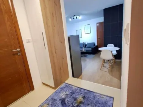 Izdavanje, jednosoban stan, 50m², Centar, Podgorica - image 2