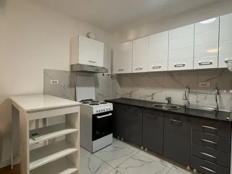 Izdavanje, jednosoban stan, 44m², Zemun Sve Podlokacije, Beograd - image 4