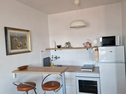Izdavanje, garsonjera, 33m², Stari Grad, Beograd - image 5