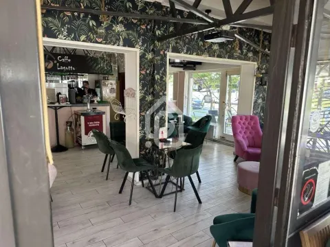 Izdavanje, ugostiteljski objekat, 110m², Obrenovac, Beograd - image 6