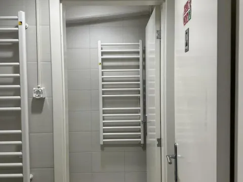 Izdavanje, poslovni prostor, 530m², Crveni Krst, Niš - image 9