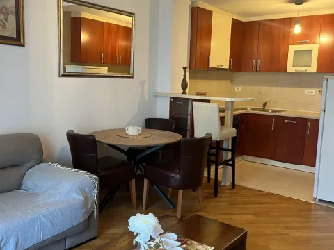 Izdavanje, jednosoban stan, 47m², Preko Morače, Podgorica - image 2