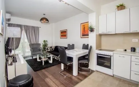 Izdavanje, jednosoban stan, 48m², Preko Morače, Podgorica - image 6