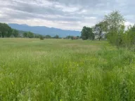 Prodaja, plac, 3000m², Danilovgrad, Crna Gora - image 3