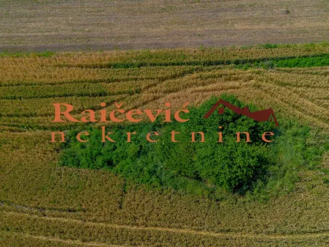 Prodaja, plac, 16400m², Mladenovac, Beograd - image 8