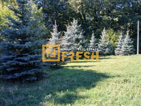 Prodaja, plac, 17300m², Kolašin, Crna Gora - image 5