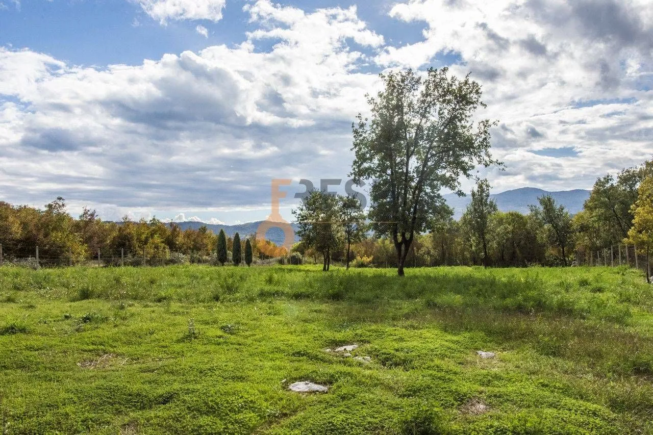 Prodaja, plac, 36246m², Danilovgrad, Crna Gora