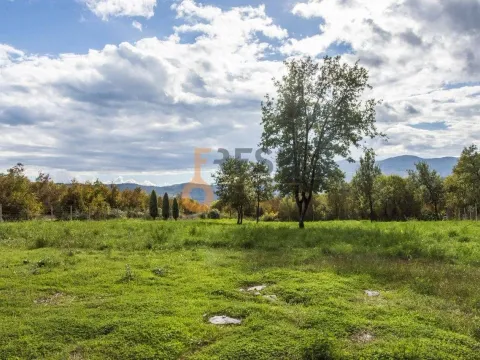 Prodaja, plac, 36246m², Danilovgrad, Crna Gora - image 8