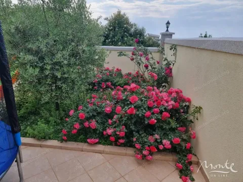 Sale, house, 330m², Utjeha, Bar - image 38