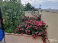 Prodaja, kuća, 330m², Utjeha, Bar - image 38