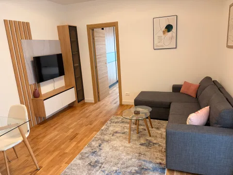 Izdavanje, jednosoban stan, 40m², Centar, Cetinje - image 2