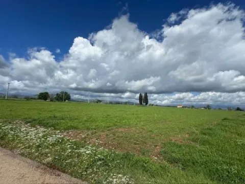 Prodaja, plac, 100000m², Zeta, Podgorica - image 9
