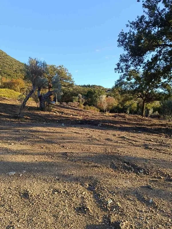 Prodaja, plac, 4200m², Bjeliši, Bar