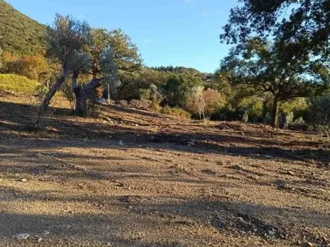 Prodaja, plac, 4200m², Bjeliši, Bar - image 11