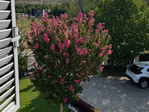 Izdavanje, trosoban stan, 88m², Dajbabe, Podgorica - image 14