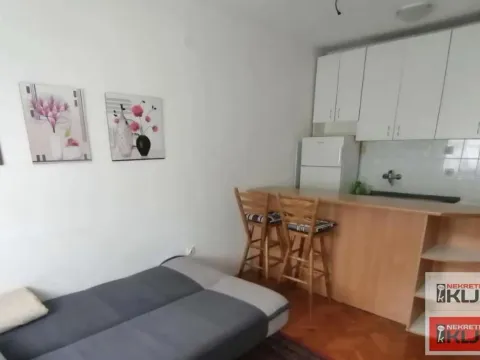 Izdavanje, garsonjera, 25m², Bulevar Oslobodjenja, Novi Sad Sve Podlokacije - image 4