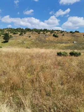 Pogled na prostrano travnato zemljište sa niskim rastinjem i brdima u pozadini. - image 4