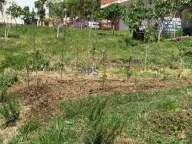 Prodaja, kuća, 160m², Sutomore, Bar - image 2