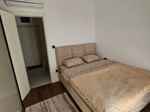 Izdavanje, jednosoban stan, 45m², Centar, Podgorica - image 2